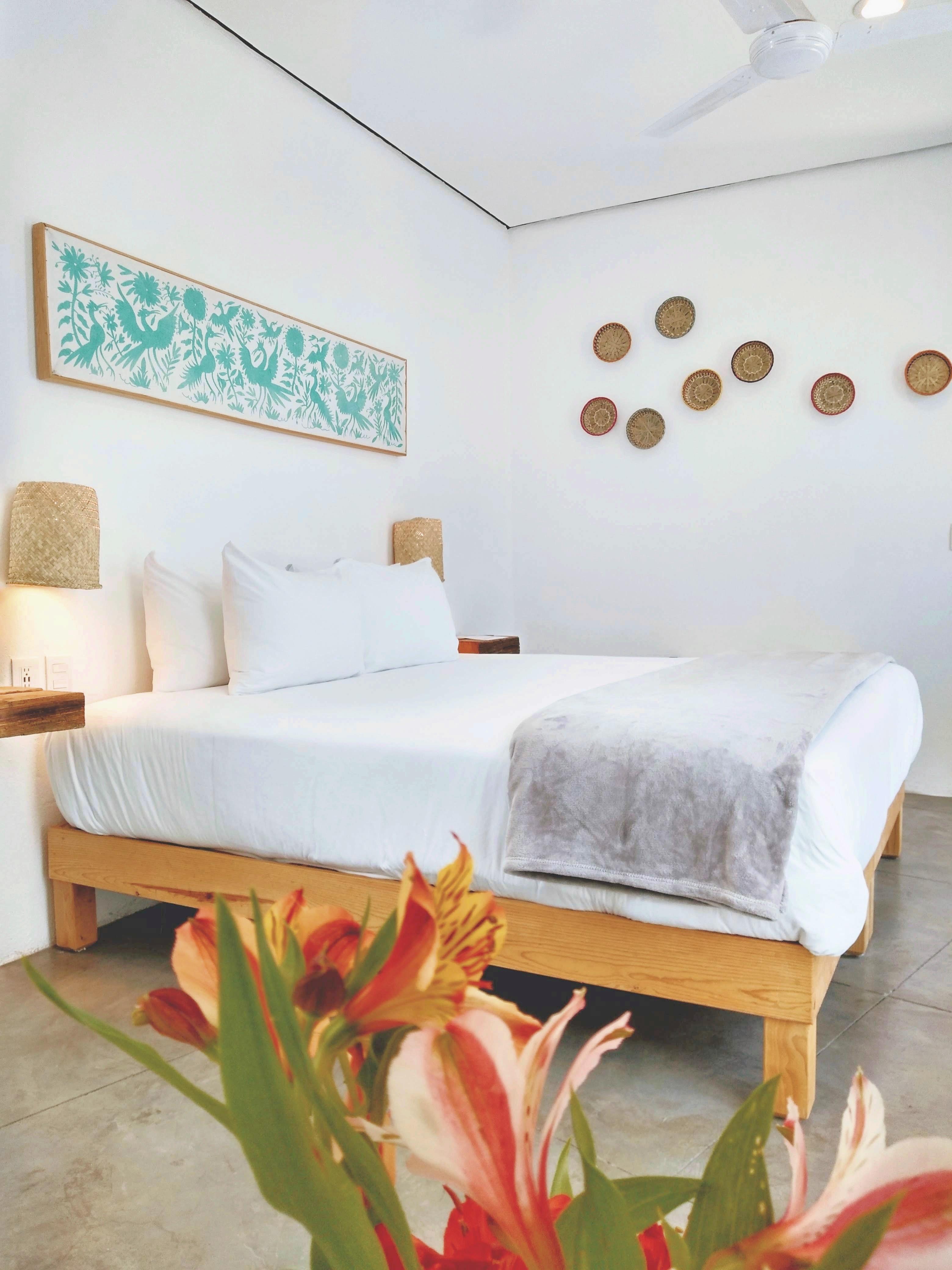 Hotel Mama Carlota ケレタロ エクステリア 写真